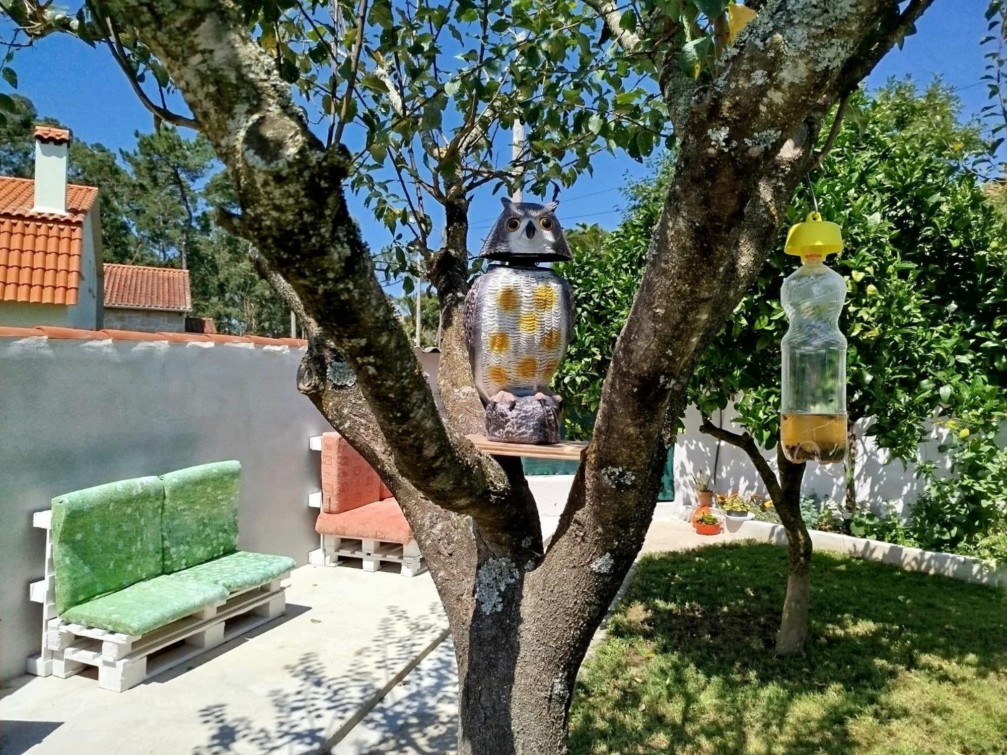 A Telleira Villa Rosal ภายนอก รูปภาพ