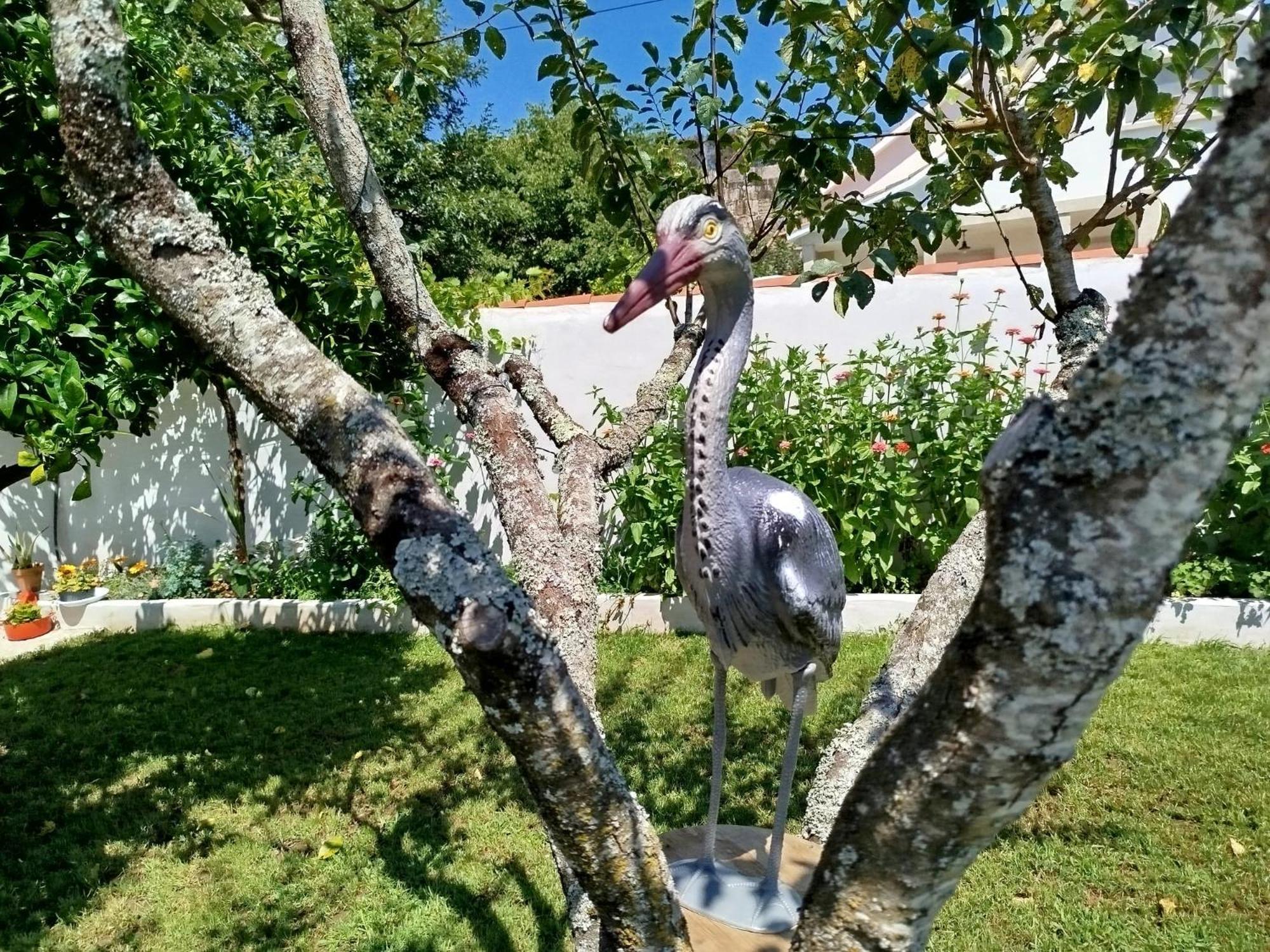 A Telleira Villa Rosal ภายนอก รูปภาพ